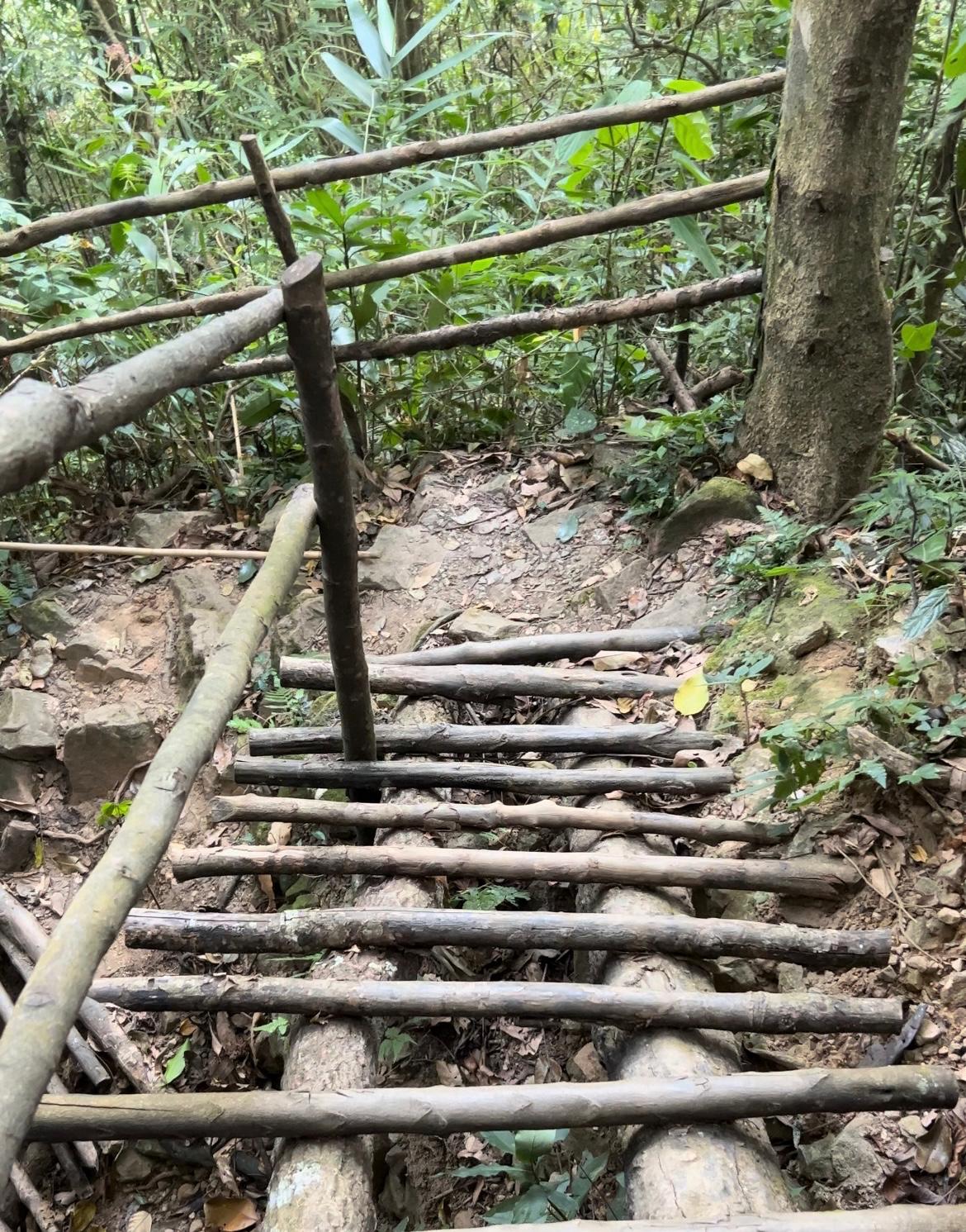 Labon Falls trekking wooden stairs, Meghalaya